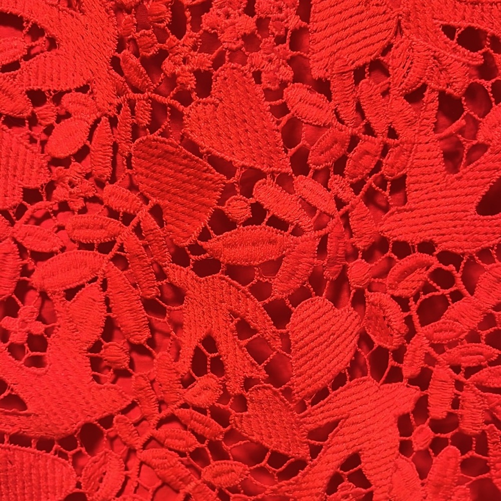 BODEN Red Heart Dove Brittany Lace Top Blouse, Red, Size 4 - Picture 12 of 12